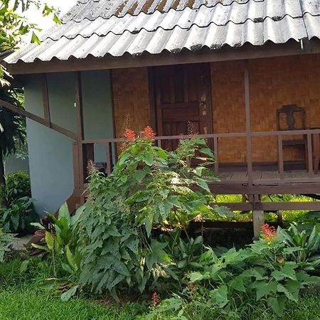 Pasanchai Bungalow Vang Vieng Exteriör bild